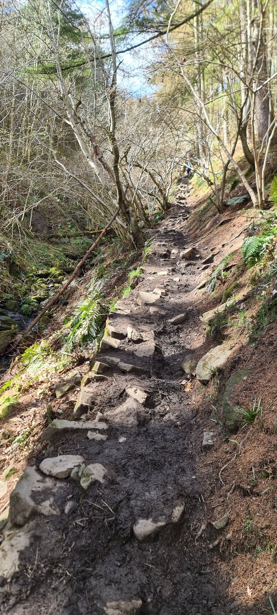 adventures_into's tweet photo. Today's 'Adventures into' we reached the top of Win Hill in the Peaks.
The pic of the rocky way down doesn't show how steap it really was! 🥵⛰️
My 8yo was feeling tired but kept saying  "if u belive it u can achieve it" 💪👧🏽
#PMA #peakdistrict #windhill #ladybower #DERBYSHIRE https://t.co/nwThqPKger