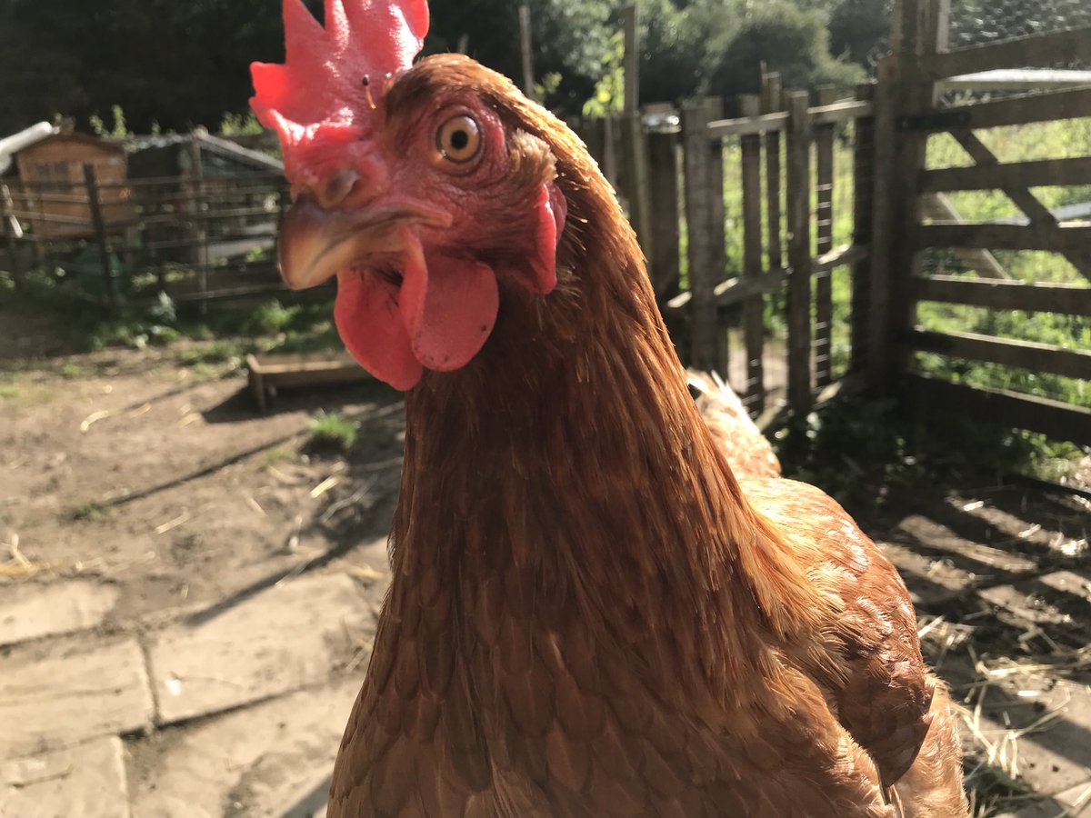 bevintheforge tweet media