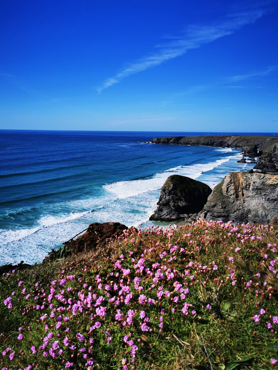 Kim83539559's tweet photo. Cornish blues and pinks 🌊🌸
@LoveCornwall1 @Cornwall_Coast @SouthWest660 @beauty_cornwall @BeachesNature1 @BBCSpotlight @weloveourbeach @Kernow_outdoors @KWTWeather @SouthWest660 @Kernow_Life @CornwallLive @ITVCharlieP https://t.co/hwehtRxcIy
