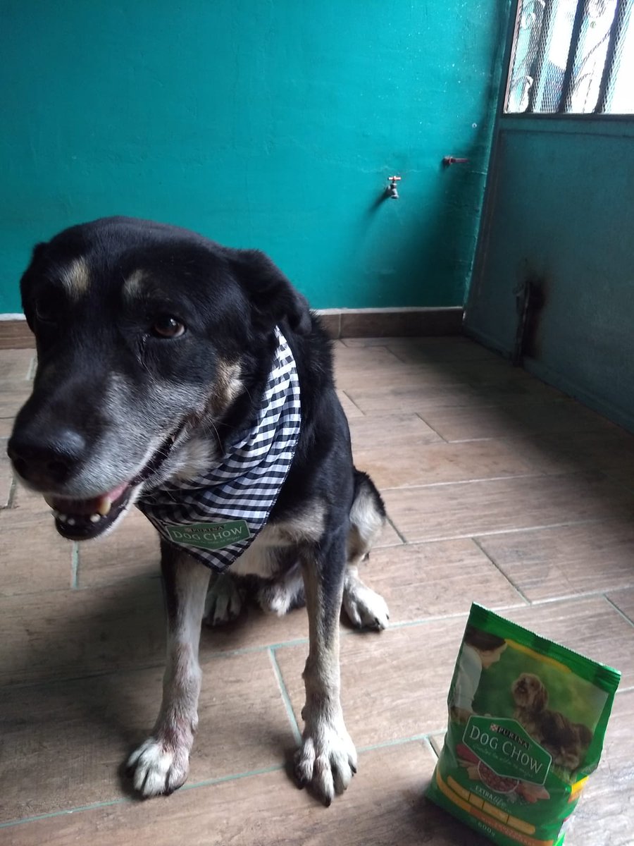 Erika I. Pérez A. tweet media