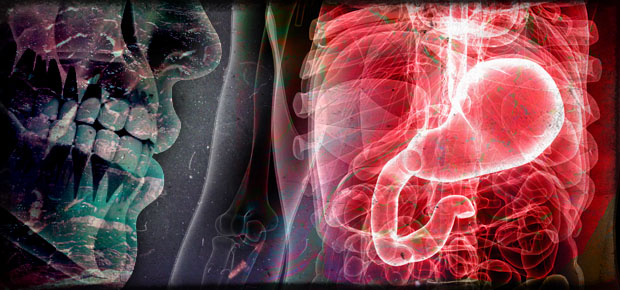 ZombieResearch's tweet photo. DIGESTING THE LIVING: ZOMBIE STOMACH ACID

We research the zombie stomach &amp; its ability to digest human flesh, blood, and bone. Can the undead actually eat and digest the living? Can their stomach somehow process the viscera... and does it even matter?

https://t.co/l8n8YBe8Lb https://t.co/yrdmc08ZVC