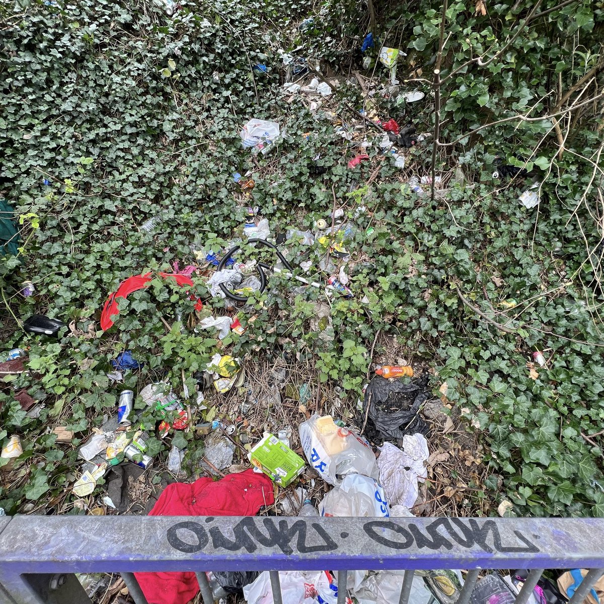 🎉🪰“FIND A FLY”🪰🎉
I’ve hidden One (1) Fly Buddy on my photo! Go find him!😎😁

Thanks <a href="/pradactivity/">PRADA 📸</a> and <a href="/rockofajs_art/">RockofAJs</a> for the inspo!🔥💜
Are you gonna give it a try?😆🪰

#nftart #NFTCommunity <a href="/FlyBuddyClub/">Fly Buddy Club</a>