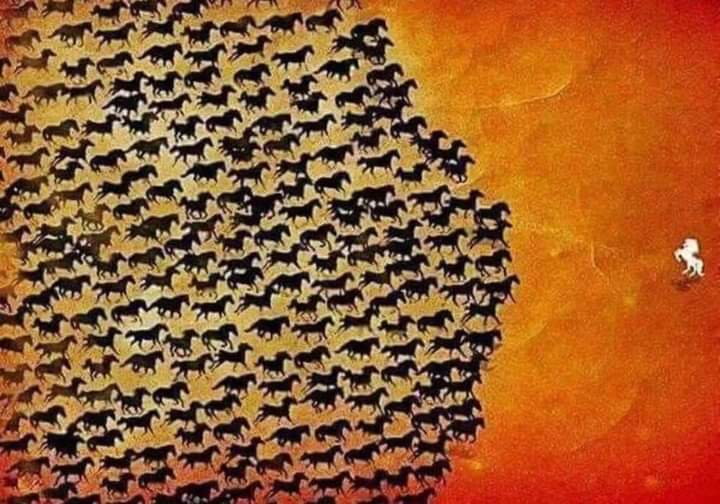 AH_Basra's tweet photo. بدتر دور سے بدترین دور کی جانب پیشقدمی پر #مبارکباد اگر انتخاب #وہی  (📓 🦁↖️ ) وغیرہ وغیرہ ہیں تو اپنی جہالت کی ڈگری ہاتھ میں لیے پھرنا آپ کی مقبولیت میں اضافہ کرے گی۔ https://t.co/m7bMgq6deP