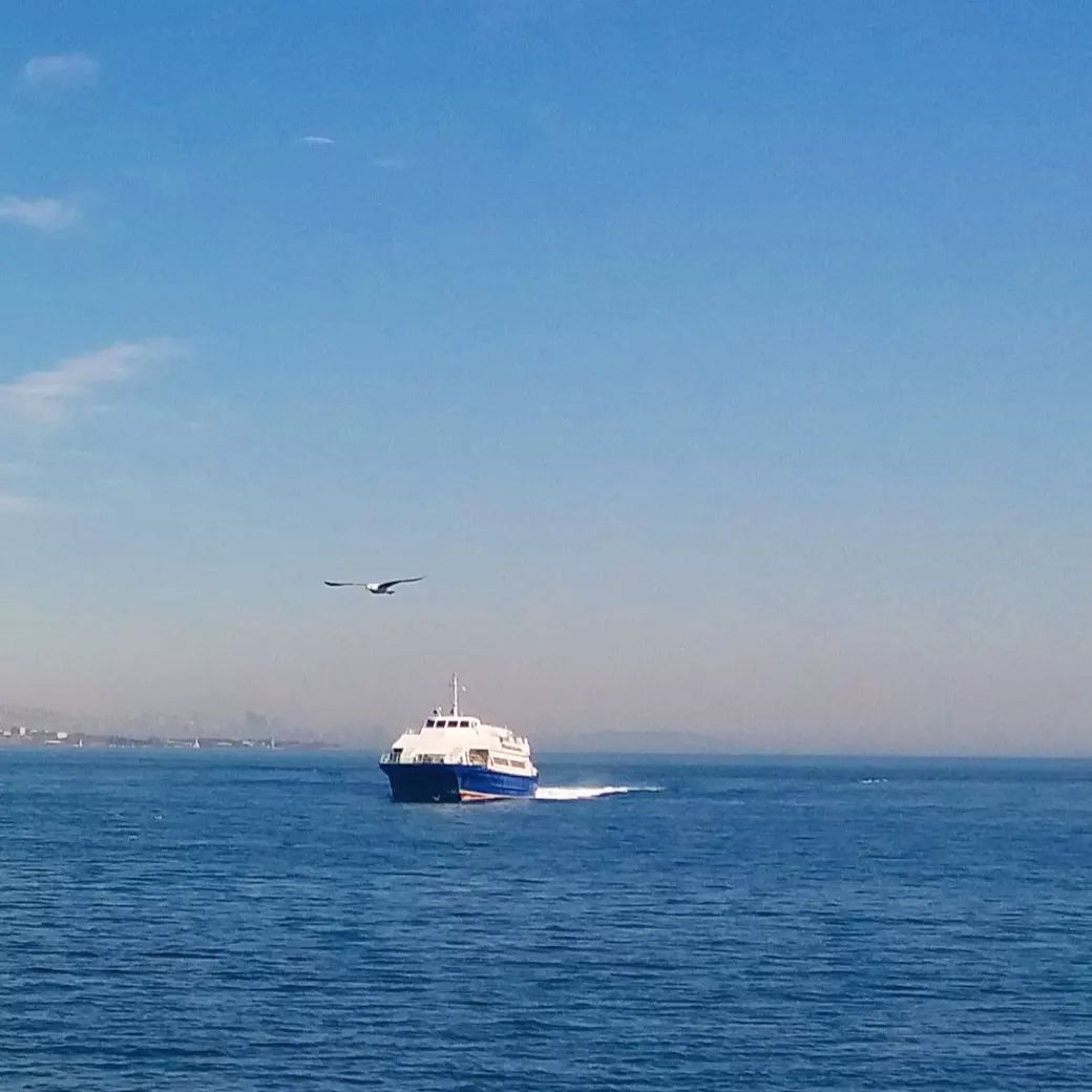 PhotoMeralMeri's tweet photo. #PhotographbyMeralMeri
#Photograph
#Photo #flower #spring #sea https://t.co/NBI86fHa4L