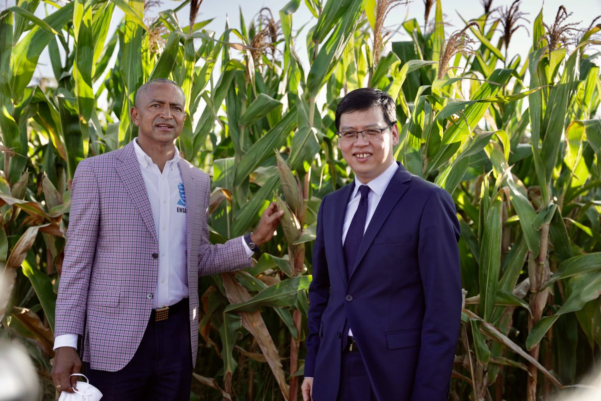 nononlandu's tweet photo. S.E.M. ZHU Jing, ambassadeur de Chine en RDC a été l' hôte du président @moise_katumbi ce samedi au siège du parti Ensemble pour la République ainsi que dans les installations agroindustrielles de la ferme Futuka à Lubumbashi . https://t.co/T1q7Bm3yrU