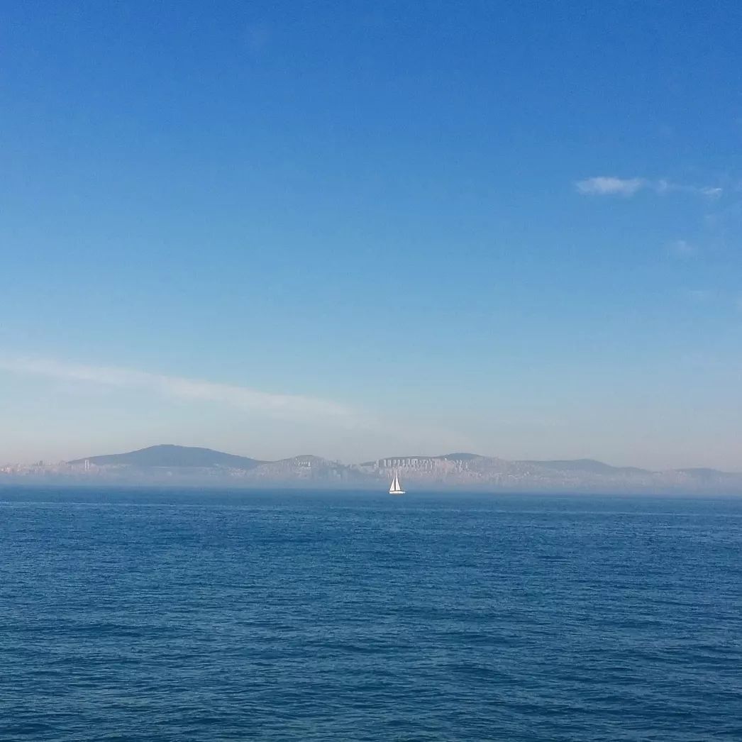 PhotoMeralMeri's tweet photo. #PhotographbyMeralMeri
#Photograph
#Photo #flower #spring #sea https://t.co/f6CPLfQmsS