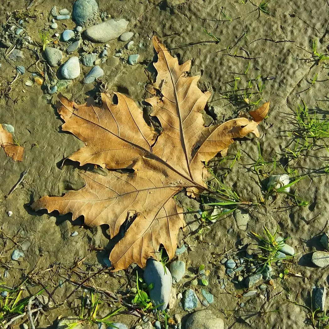 PhotoMeralMeri's tweet photo. #PhotographbyMeralMeri
#Photograph
#Photo #flower #spring #sea https://t.co/bq0Tm1pGYv