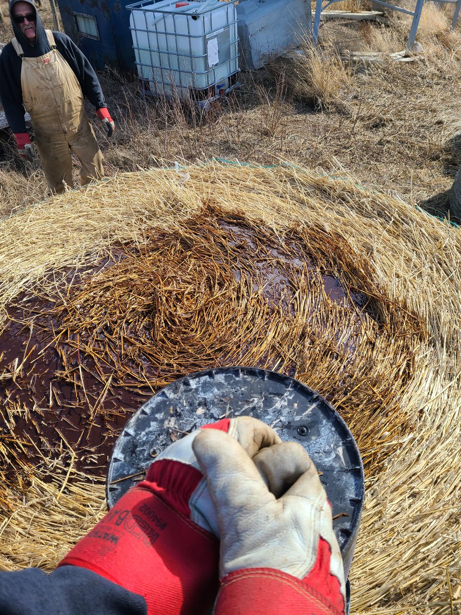 SteveLingley's tweet photo. Another Saturday of pouring molasses on bales...helped us get through a tight year https://t.co/kCzGrs78O5