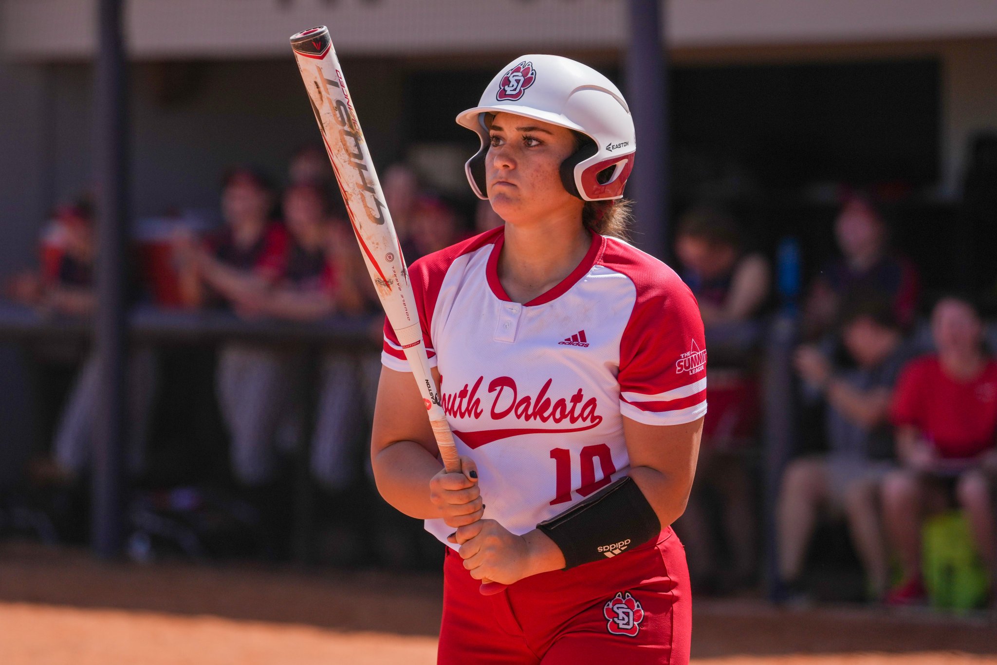 South Dakota Softball on Twitter "Coach Robert Wagner got his 300th