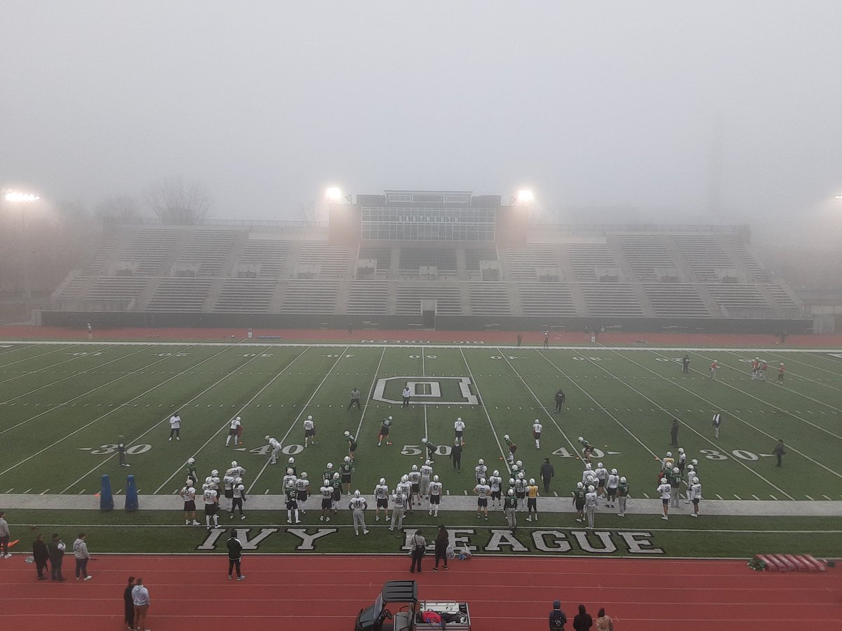 Tyler Wolfe tweet media