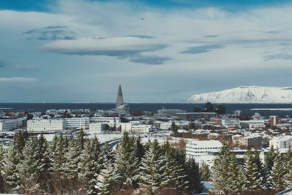 Hallgrímskirkj in in #Reykjavík, #Iceland. 

.⁣
.⁣
.⁣
.⁣
.⁣
#aroundtheworld #beachlife #business #entrepreneur #hiking #igtravel #instatraveling #landscapephotography #lovetotravel #ocean #tourism #travel #travelawesome #travelblog #travelbug #traveldeeper #traveldestinati…