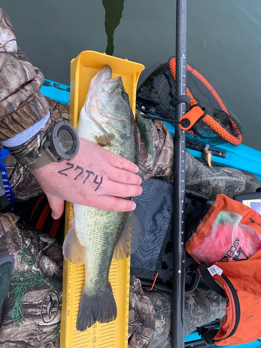 Bamabeegs's tweet photo. Froze a little but got after them today at the YaknGrass tournament at Lake Guntersville in my @Crescent_Kayaks Lite Tackle. #liveinthecurrent https://t.co/HeYUN4HoKL