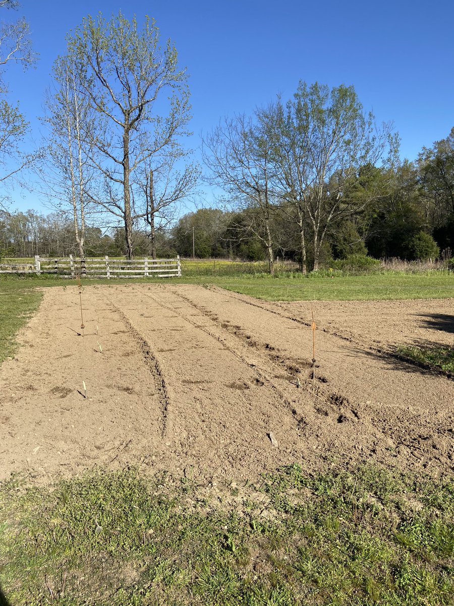 Seeds sown, let God bring the rain.