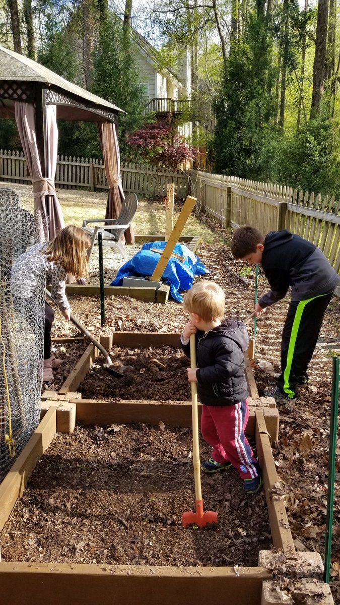 Josh_Edwards11's tweet photo. Picked up some tomato and squash plants @BotGardenGA plant sale today so garden crew is busy turning soil #gardening #backyardtotable https://t.co/opl6EzBDzm