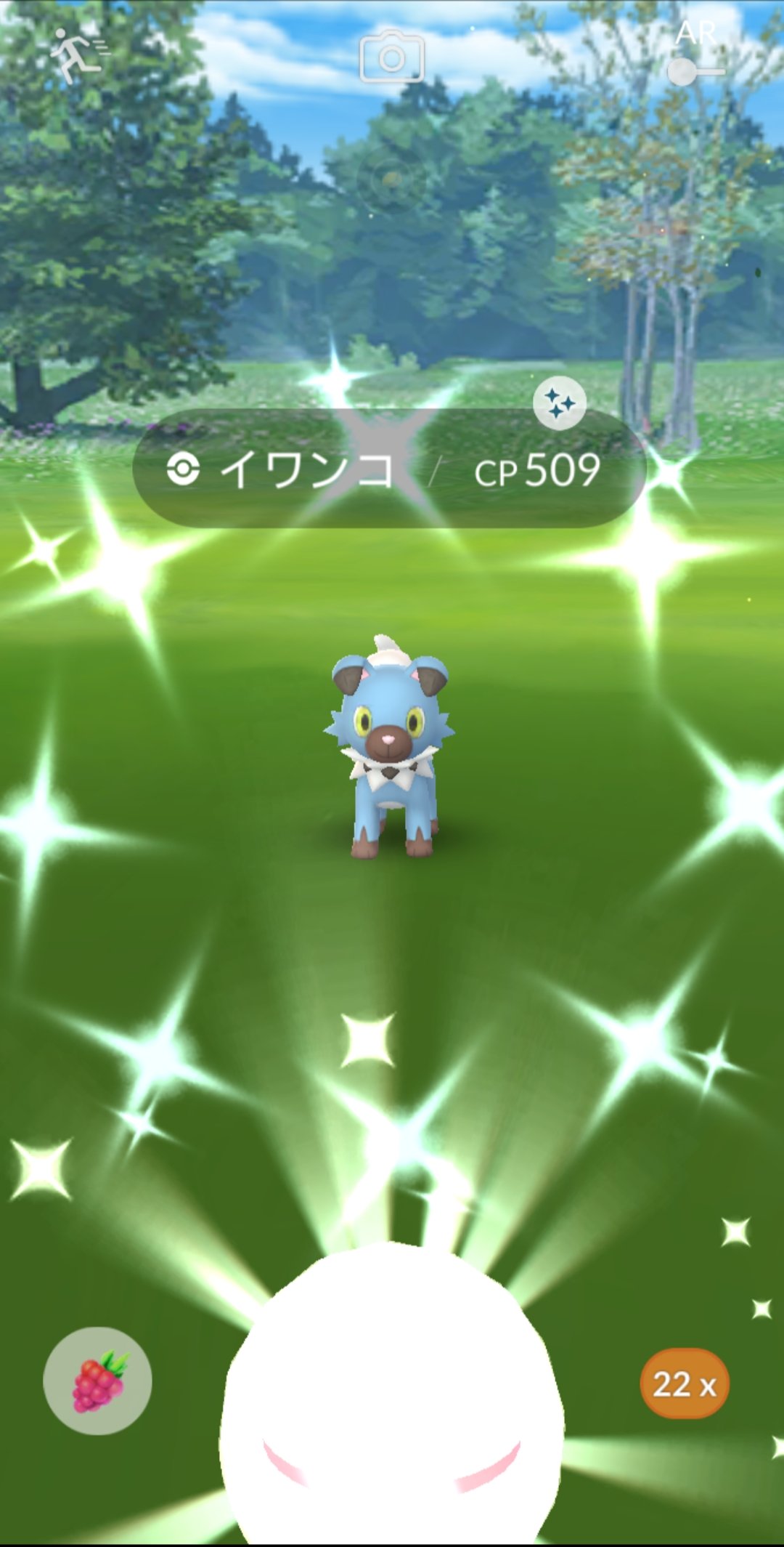 ねこのるる ポケモン回文115 今朝 諦めかけてた色違いイワンコがレイドで来ました まひる まよなか 未実装のたそがれ どれに進化させるか迷いますね 良い ガチろイワンコ 来んわ色違いよ よいがちろいわんここんわいろちがいよ