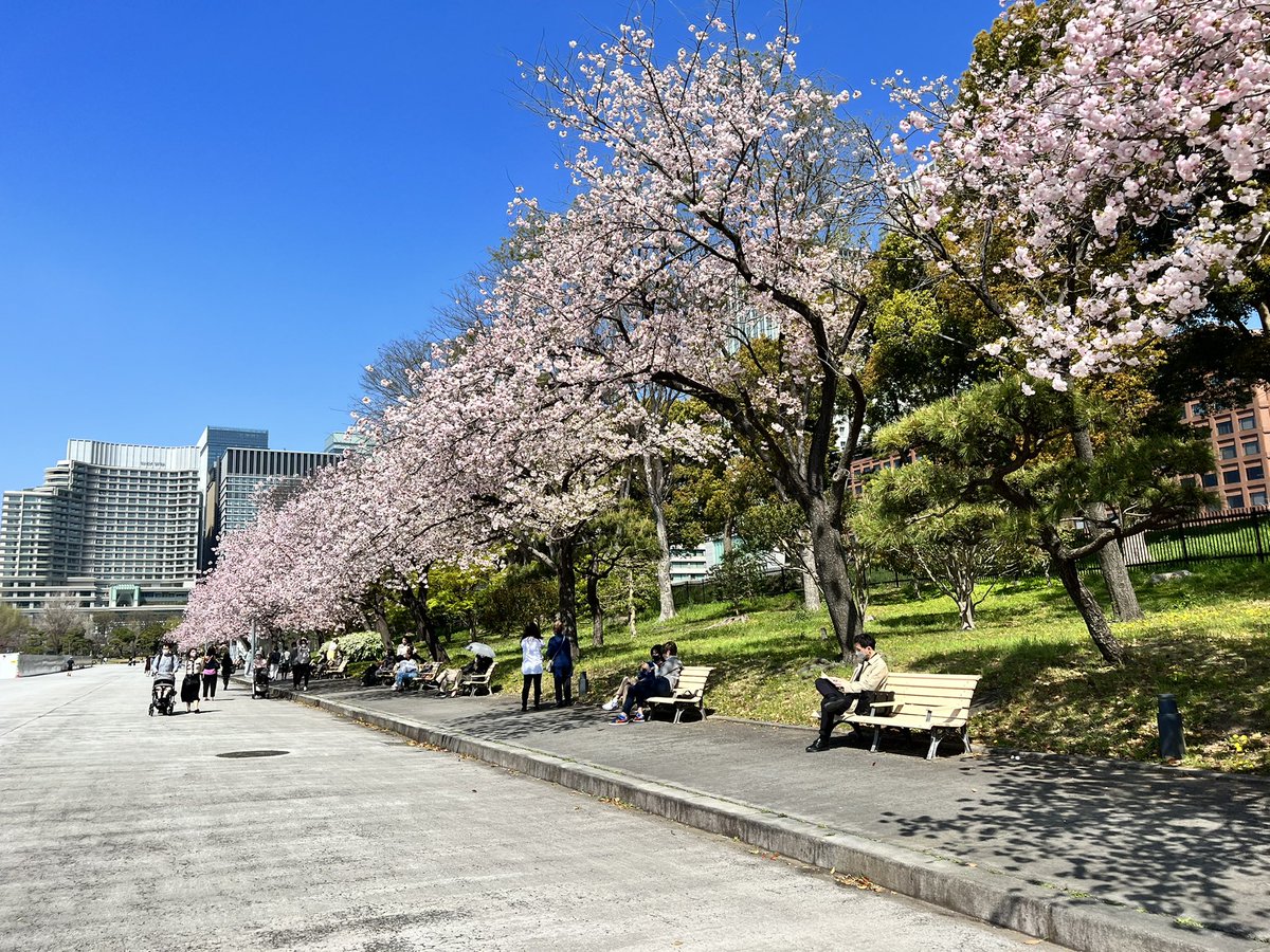 【ブログを更新しました🌸】
東京はぐんぐん気温が上昇しています。外出の際は熱中症対策をお忘れなく🫠馬場先広場のイチヨウについてブログを更新しました!
👉fng.or.jp/koukyo/2022/04…
#皇居外苑のイチヨウ並木の最寄り駅は千代田線二重橋前駅2番出口です🚃
#お花見
