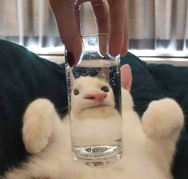 @FIERCEC0UGARTR 

le pone un vaso de agua en la cara.