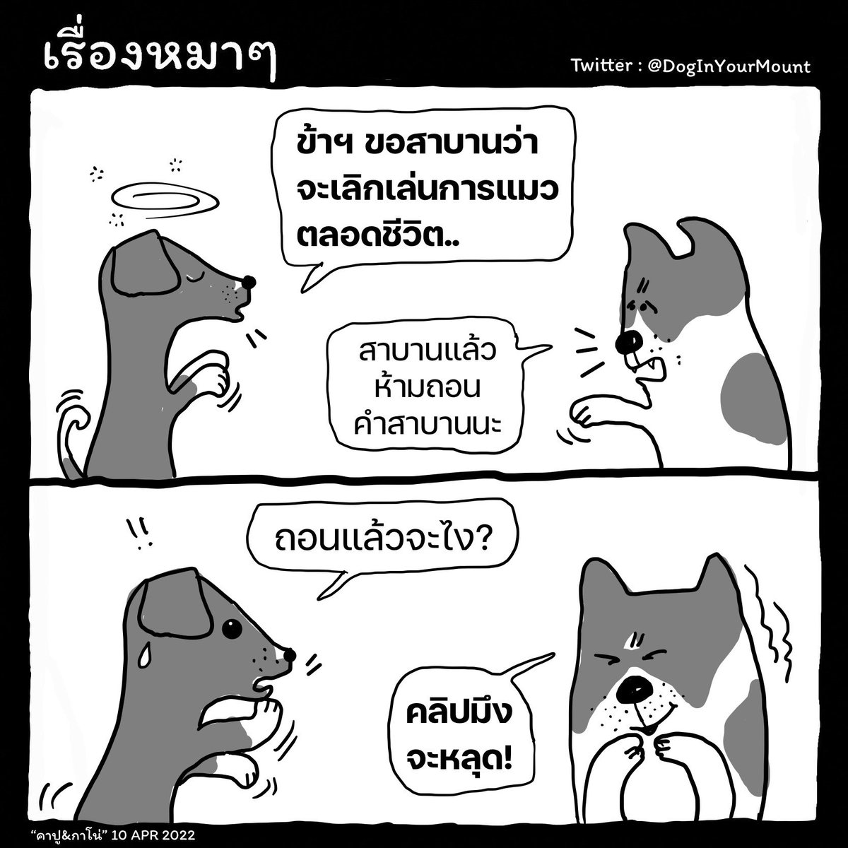 DogsInTheMouth's tweet photo. ขอสาบานว่า จะเลิกเล่นการแมว ตลอดชีวิต #การเมือง #แรมโบ้ #คลิปหลุด https://t.co/d8kUWqf4Q1