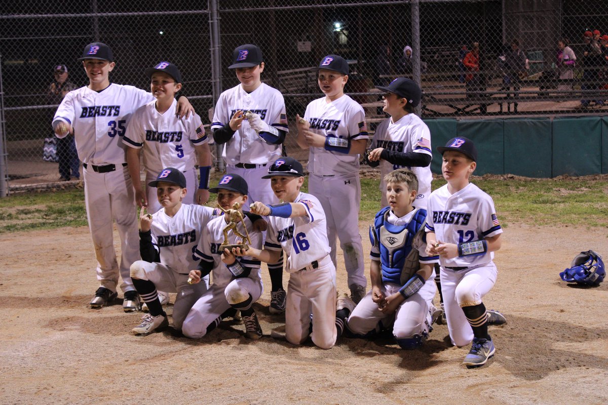 Champion Diamonds tweet media