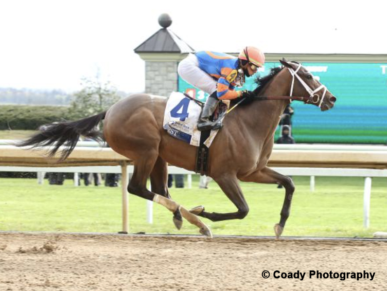 Daily Racing Form on Twitter: