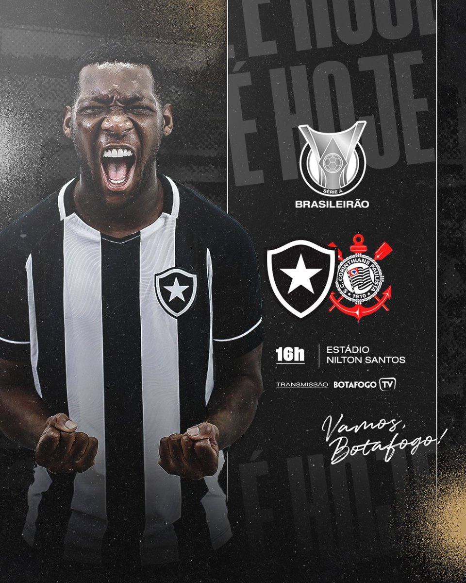 Botafogo F.R. on X: O Fogão tá 100% embalado no tapetinho! 🔥🏟️  #VamosBOTAFOGO  / X