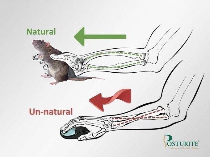 neural net guesses memes tweet media