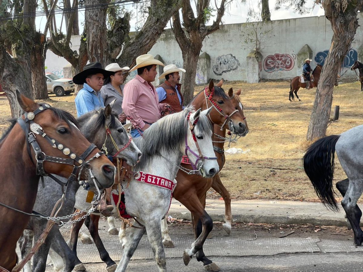 JavierGleZepeda's tweet photo. Pocas personas logran una sintonía entre uno mismo y alguien más; ser a caballo es lograr un equilibrio, comunicar sin tener canal, entender, escuchar, hablar sin decir una palabra.
#CabalgandoAndo 🔴🔵🟡 https://t.co/dQ3zPMNTi7