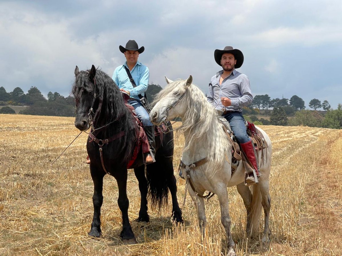 JavierGleZepeda's tweet photo. Pocas personas logran una sintonía entre uno mismo y alguien más; ser a caballo es lograr un equilibrio, comunicar sin tener canal, entender, escuchar, hablar sin decir una palabra.
#CabalgandoAndo 🔴🔵🟡 https://t.co/dQ3zPMNTi7