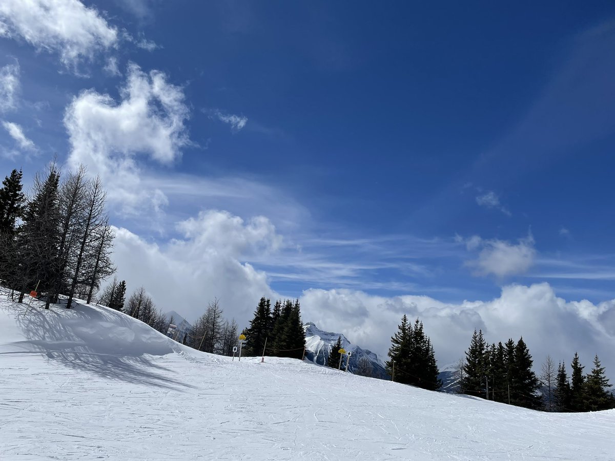 Nieng Yan tweet media