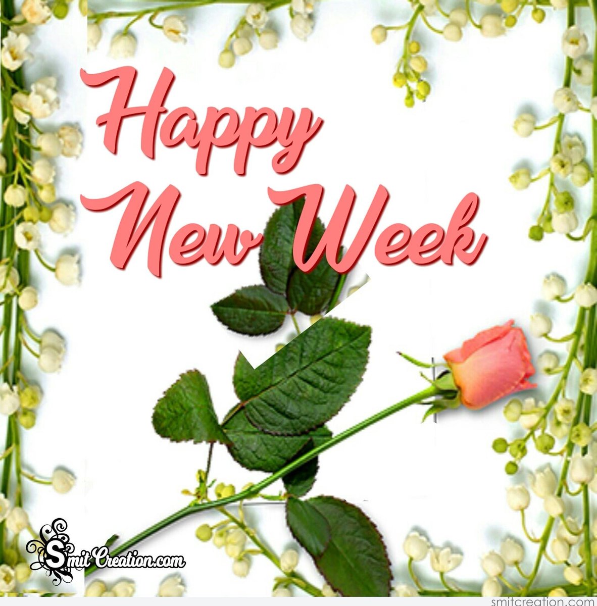 #FF MT 

<a href="/GValiente22/">Gabriela Valente</a> 
@OmarOma64360171
<a href="/_bn_u/">.....</a>
<a href="/rootnk/">Dave Yadallee</a> 
<a href="/lunayessih/">𝒀𝒖𝒍𝒆𝒛 ᥫ᭡‧͙⁺🍁˚❄️‧͙*˚ও🦋･</a>
<a href="/Franc_grau/">💯🤍 Franc 77 K 🤍💯</a>
<a href="/amir_esawy/">꧁༺Amir Shaheen༻꧂</a>
@keith0sta 
<a href="/BPrima777/">🪐𝕭𝖆𝖈𝖐𝖀𝖕_𝕻𝖗𝖎𝖒𝖆77⃣7 🇮🇩</a> 
<a href="/MeybeDom/">CARMEN 🎶🎵🥀</a> 
<a href="/carher0663/">⚔️ᴋᵃʳˡᵒˢʜᵉʀᵒᵈ👑⚔️</a> 
<a href="/manolo_peru/">peruvian</a> 
<a href="/UbaidKhaan/">Ubaid KhaaN</a> 
<a href="/Q_Afika1/">Afika Nggilu 🇮🇩</a> 
@ho88_sh
<a href="/Venom_SDV/">➣✯𝖁𝖊𝖓𝖔𝖒 ✯</a> 
<a href="/Okacmaz72/">𝗧𝗮𝗸𝗶𝗽 𝗲𝘁 𝟲𝟬.𝗼𝗞 🆇</a> 
<a href="/Ev3rywh3r3/">★｡☆｡* Ev3rywh3r3 *｡★｡☆</a> 
@learockerita
<a href="/francesca_runca/">Francesca_runca @Cate Francesca💖😺🐕 ☮🕉☸☯</a> 
@ruizfra21889955