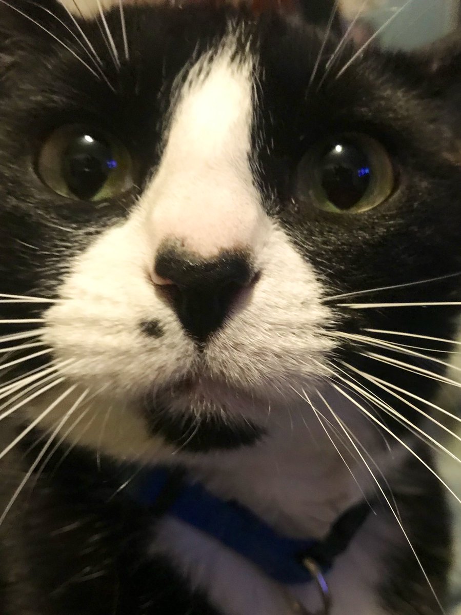 ~❤️🌎ULTIMATERENEE🕊💜~ tweet media