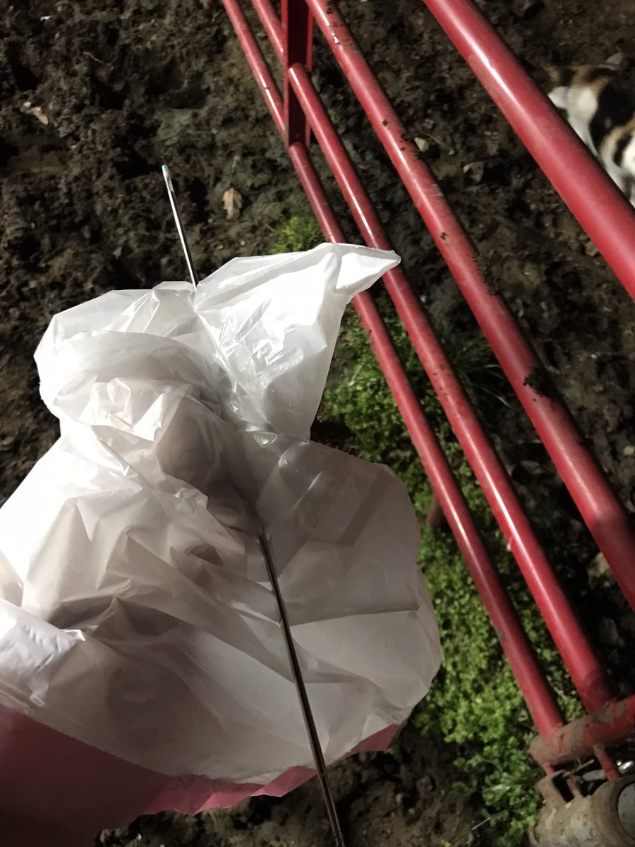 Late night McGuyver farming tip, you can use a trash bag when you realize you are out of sleeves. Especially if you are good with your hands. #iykyk
Stay tuned for more tips to get ahead. A champion will be born because of tonight!