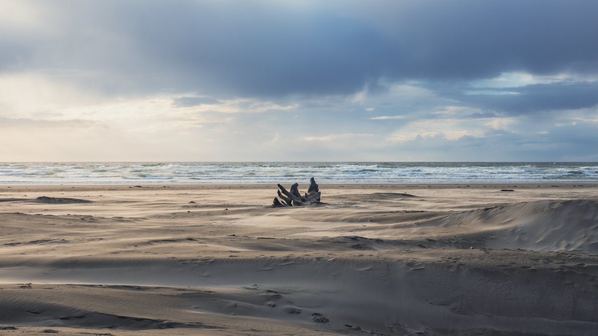 danielhuckmann's tweet photo. Newport Beach, Oregon

October 2021

ƒ/8 1/50 35mm ISO 100 https://t.co/YPZd2ThL7G