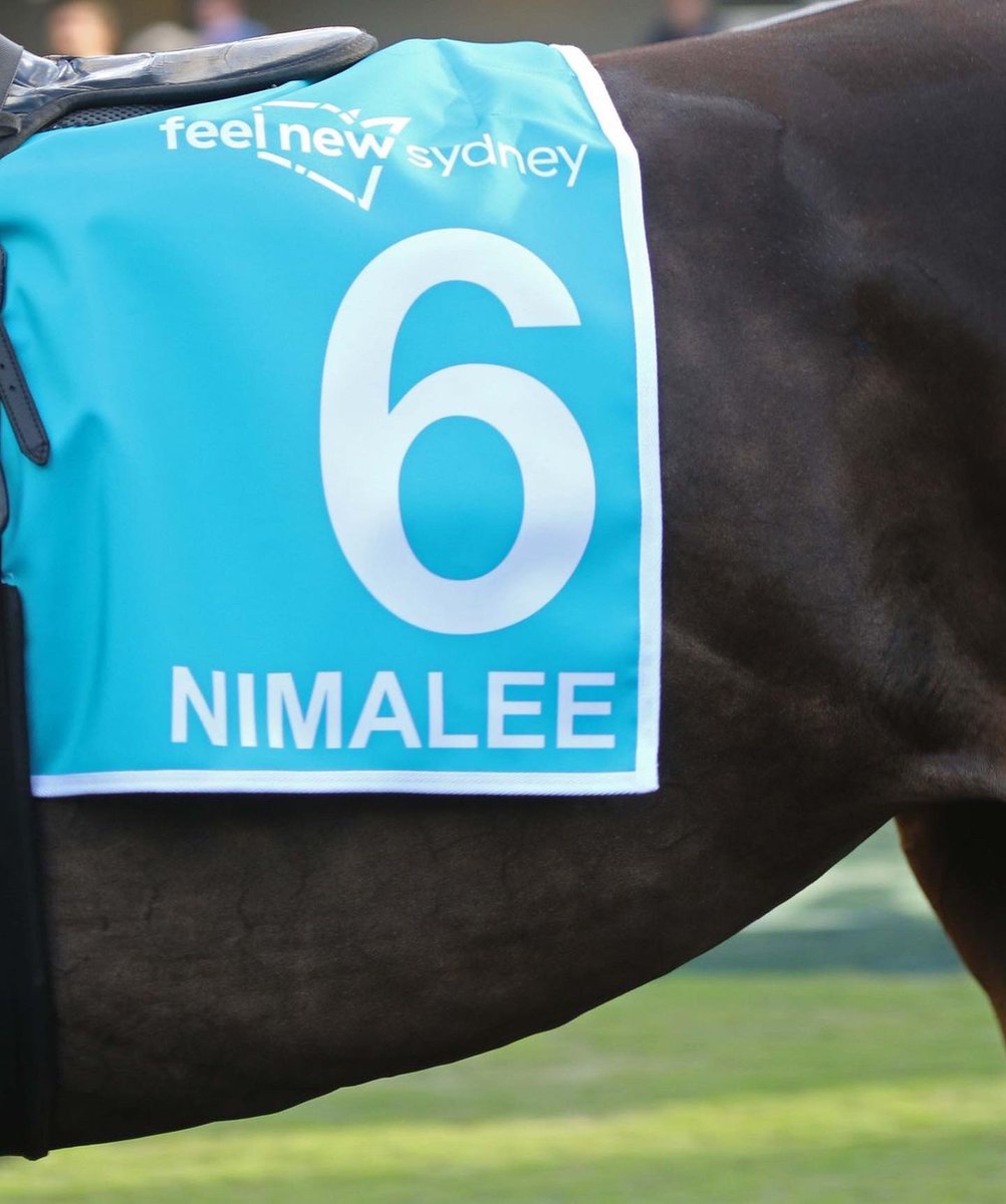 mcsmithracing's tweet photo. Nimalee has always been a Queen in our eyes but she announced it on the big stage yesterday by taking out the Group 1 Queen Of The Turf Stakes at Royal Randwick on Day 2 of the Championships. 

Congratulations to her wonderful owners, The Durney family. 

#Nimalee 
#TeamMCS https://t.co/svO3PPiNS2