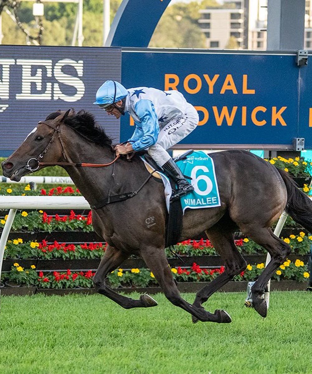 mcsmithracing's tweet photo. Nimalee has always been a Queen in our eyes but she announced it on the big stage yesterday by taking out the Group 1 Queen Of The Turf Stakes at Royal Randwick on Day 2 of the Championships. 

Congratulations to her wonderful owners, The Durney family. 

#Nimalee 
#TeamMCS https://t.co/svO3PPiNS2