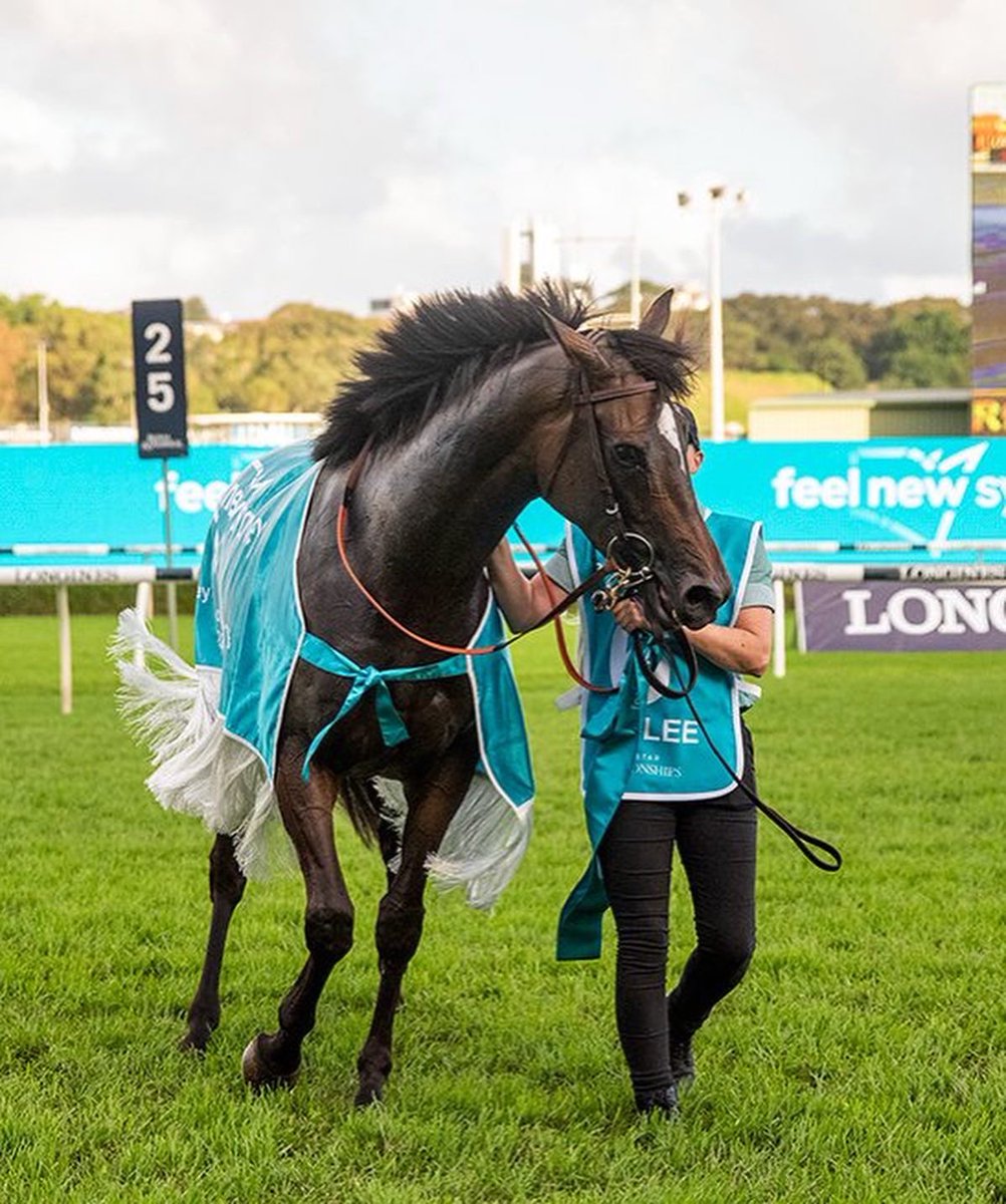 mcsmithracing's tweet photo. Nimalee has always been a Queen in our eyes but she announced it on the big stage yesterday by taking out the Group 1 Queen Of The Turf Stakes at Royal Randwick on Day 2 of the Championships. 

Congratulations to her wonderful owners, The Durney family. 

#Nimalee 
#TeamMCS https://t.co/svO3PPiNS2