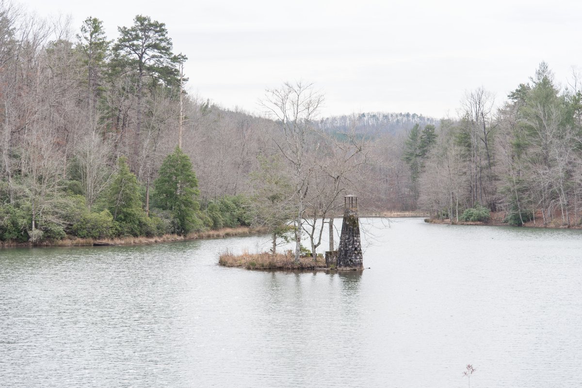 SCDNR's tweet photo. Tall Pines WMA in the mountains of Greenville County is made up of a variety of habitats. The 1,757 acre property has upland and wetland area, four small lakes, numerous streams, and a mile of frontage on the South Saluda River.
#VisitSCDNR #ScenicSaturday https://t.co/UrfLEiMgiQ