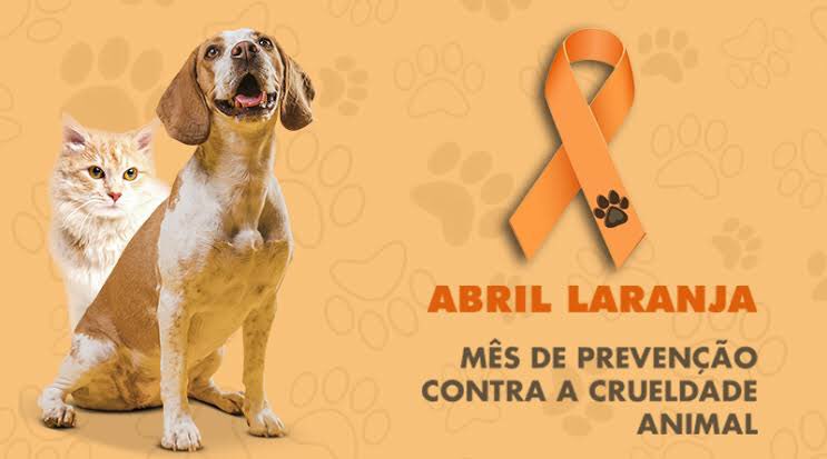 Falcao Emmanuel ☉ (@ofalcaoemmanuel) on Twitter photo 