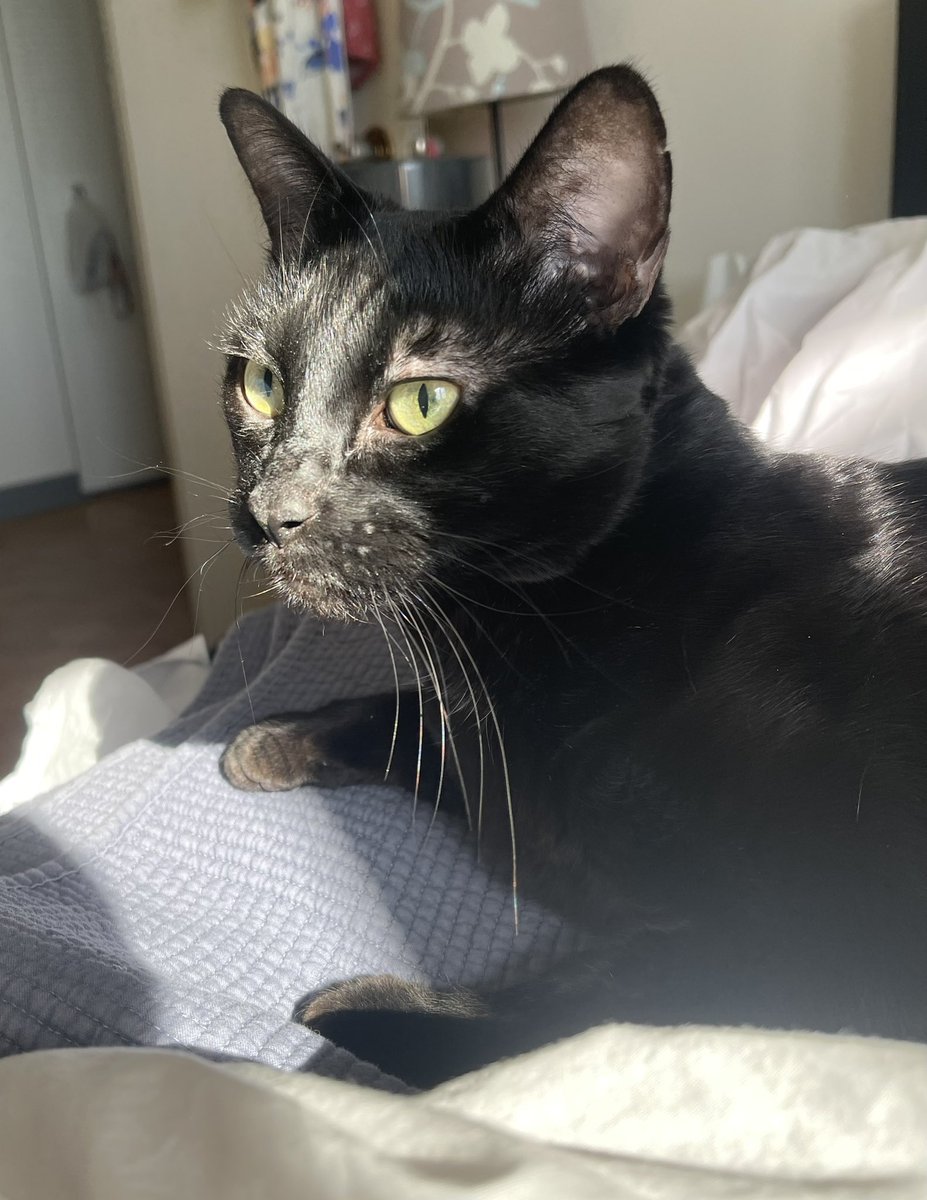 RealityFilled's tweet photo. @ellle_em Penelope 🥰 https://t.co/zbsBSaWczX