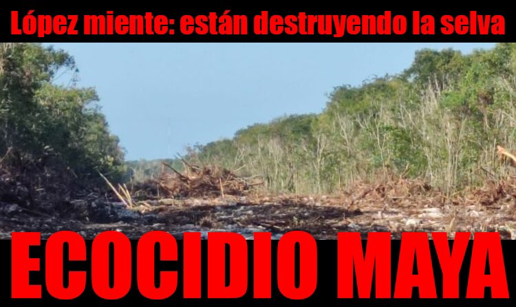 Comentarios tweet media