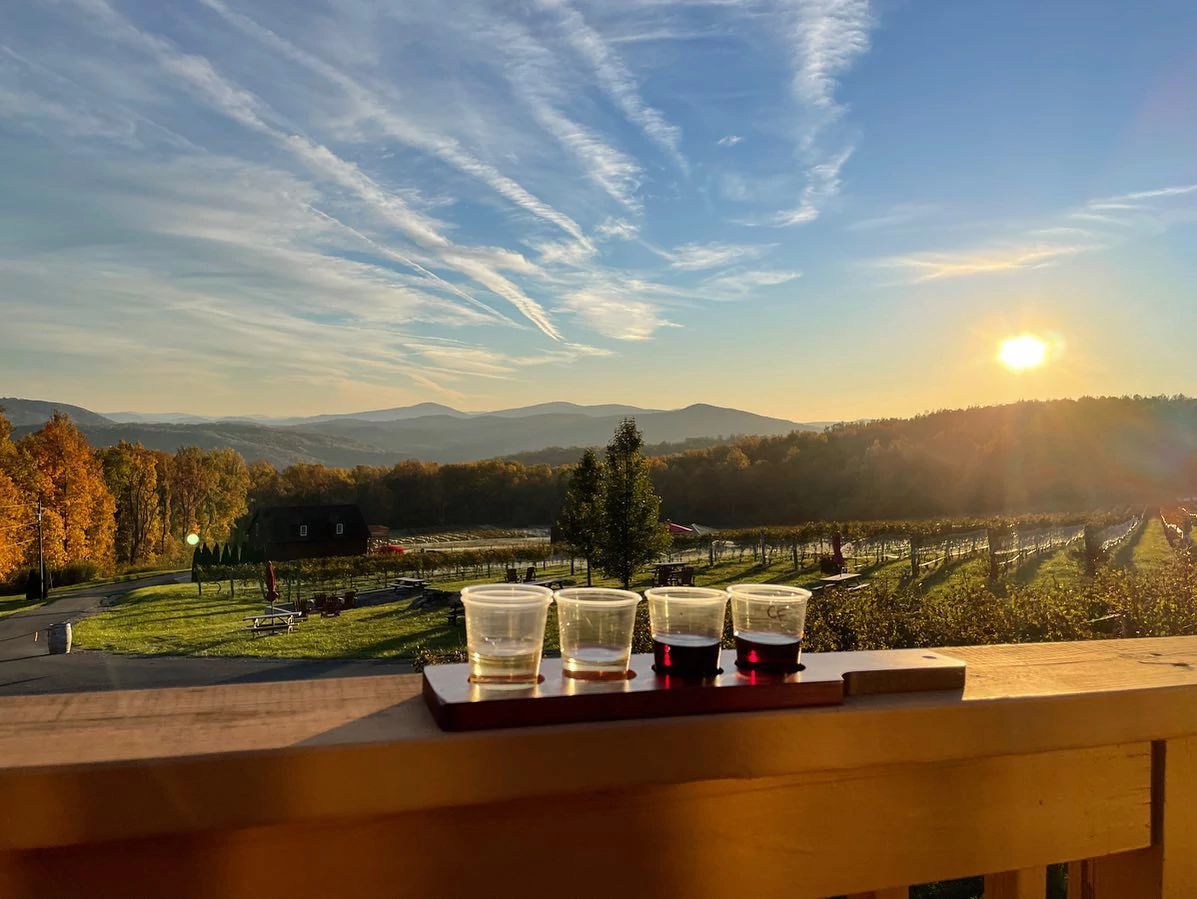 visitvirginia tweet media