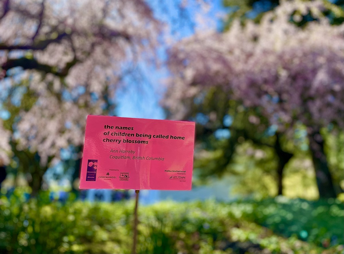 Leithwheeler's tweet photo. What a day to take in the #cherryblossoms at @VanDusenGdn for @OfficialVCBF's Sakura Days Japan Fair! While you're there, check out the gingko walks and #haiku sticks, supported by @Leithwheeler, and get your haiku on! https://t.co/l1Ab9ns8hV