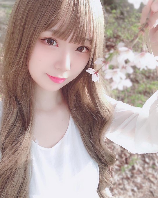 コスプレイヤーHattie（へティー）のTwitter画像12