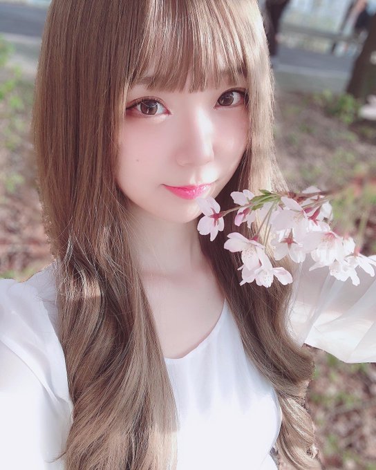 コスプレイヤーHattie（へティー）のTwitter画像13