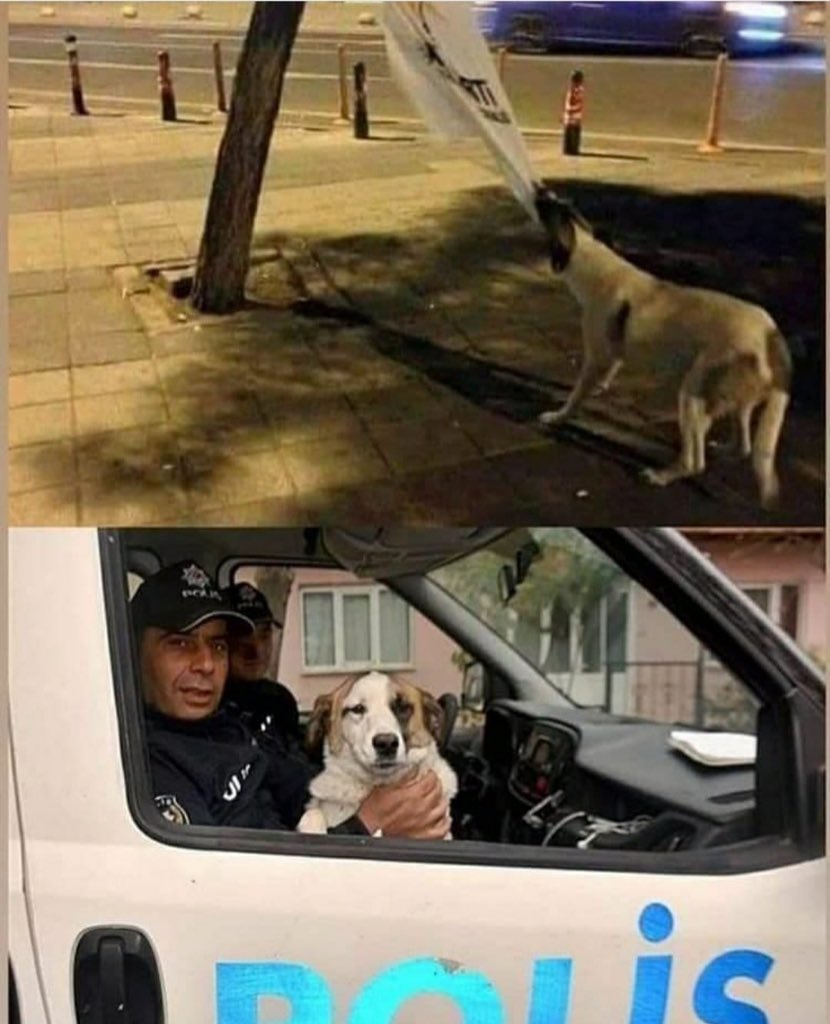 hslphi's tweet image. 