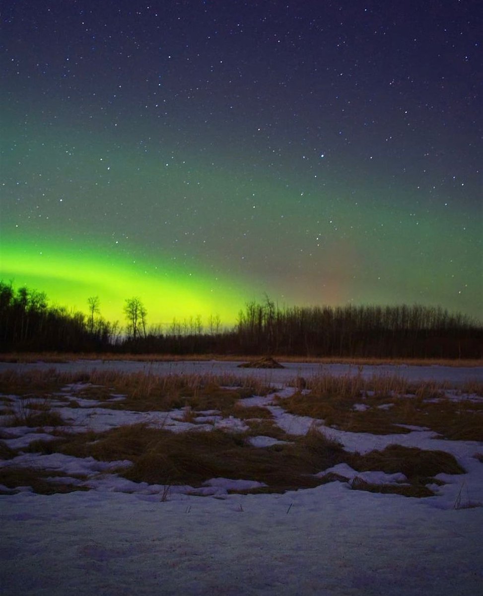 Explore Edmonton tweet media