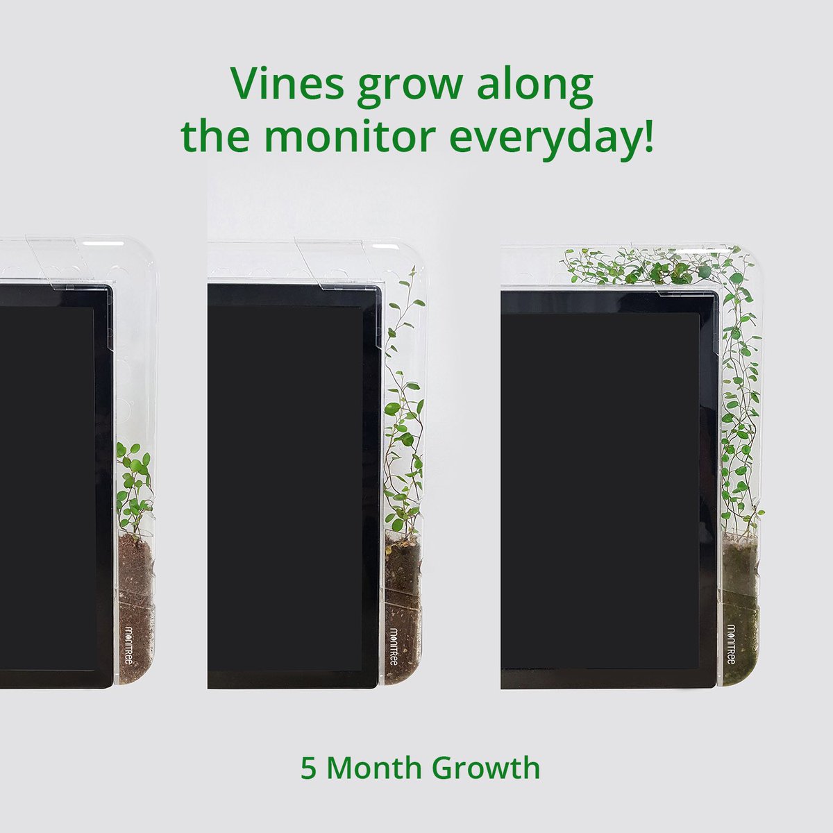 kayleens_coffee's tweet photo. Wanted to tell y’all about this really cool Monitree Kickstarter! It’s by @pltris 

If you want to check it out and support the campaign ends in 6 days! Read more about it here 

https://t.co/Wbqp4on2Dn https://t.co/wVhwPjP1Zq
