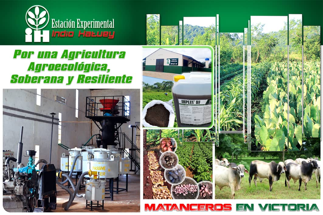 Estación Experimental Indio Hatuey.  Primer centro científico en la rama agropecuaria creado en el Pais. #PericoEnVictoria <a href="/DiazCanelB/">Miguel Díaz-Canel Bermúdez</a> <a href="/DrRobertoMOjeda/">Dr. Roberto Morales Ojeda</a> <a href="/SuselyMorfaG/">Susely Morfa González</a>