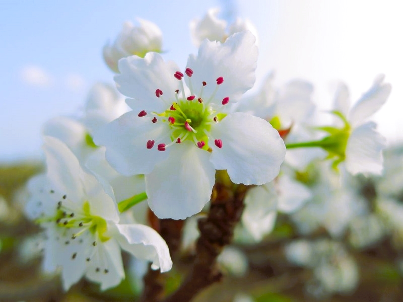 Tweets With Replies By Masahiro Morisaki Masahiromorisa1 Twitter