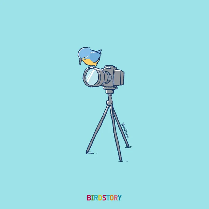おはようございます。
本日は4月10日、語呂合わせから、フォトの日とのことです📷
いつかカワセミさんをカメラで撮影したいです🐣
#BIRDSTORY 
#カメラ #カワセミ 